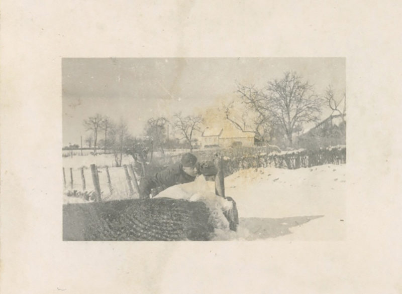 A black and white photo of trees in the snow.