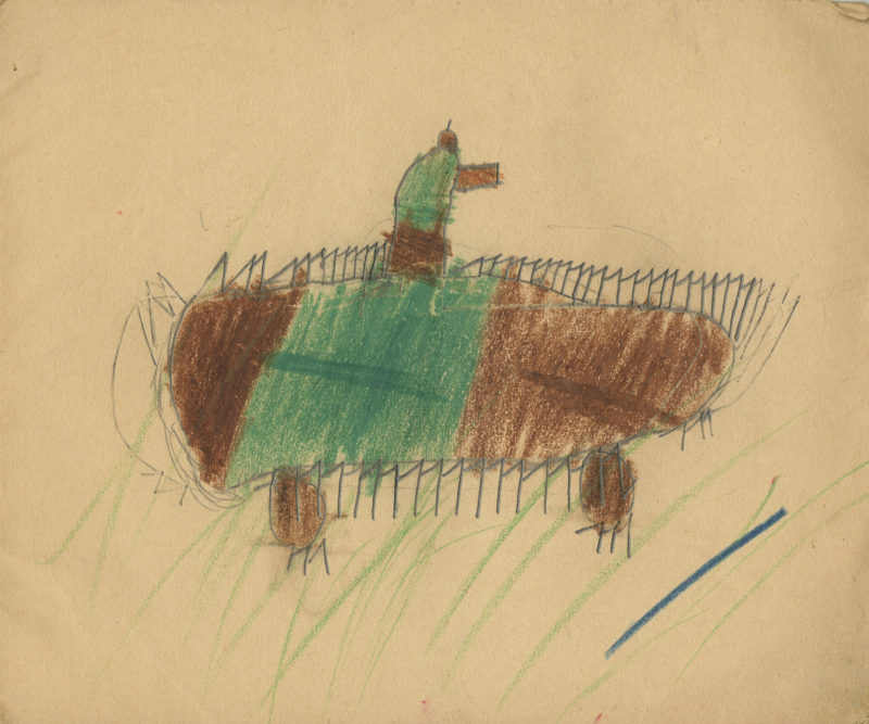 A drawing of an animal with a green body.