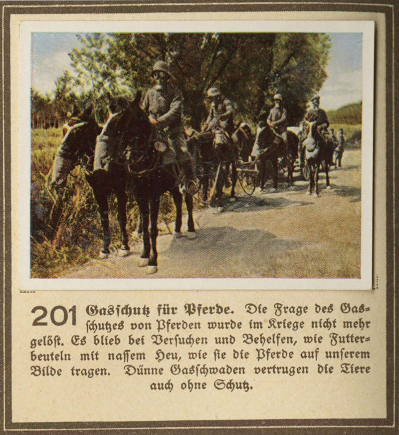 A picture of soldiers on horseback in the middle of a road.